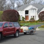 Residential Roof Cleaning