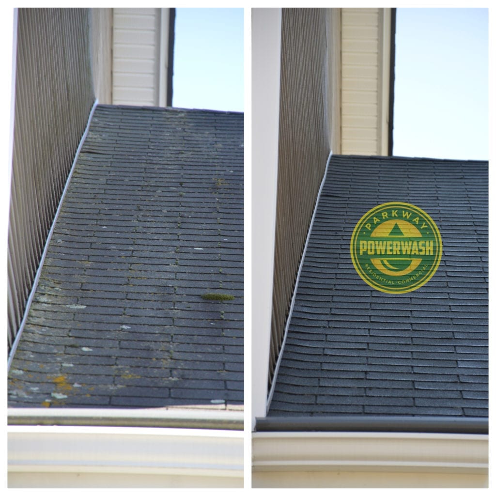 Roof Cleaning