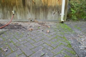 Wood Restoration