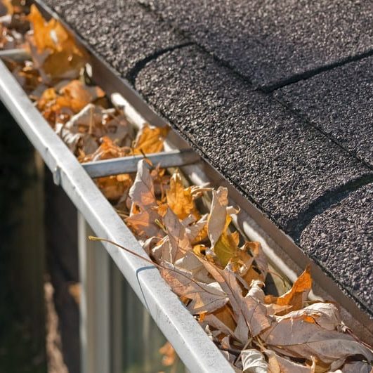 No matter how well-maintained your home may be, it will never run efficiently until you stop neglecting your gutters. Indeed, the New Jersey area is no stranger to harsh winds, bad weather, and other issues that can cause your gutters to become cluttered or otherwise malfunction.